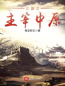 《三国之主宰中原》官方封面