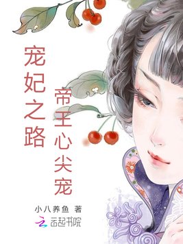 《宠妃之路：帝王心尖宠》官方封面
