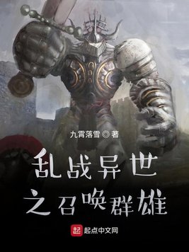 《乱战异世之召唤群雄》官方封面