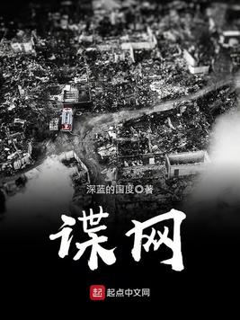 《谍网》官方封面