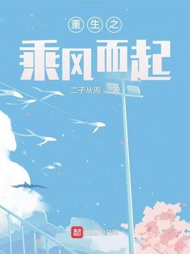 《重生之乘风而起》官方封面