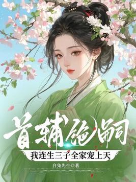 《首辅绝嗣，我连生三子全家宠上天》官方封面