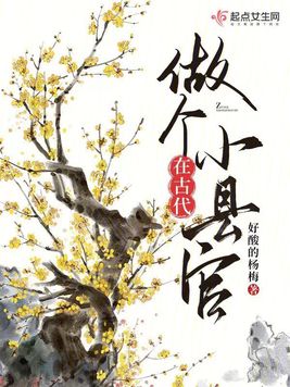 《在古代做个小县官》官方封面