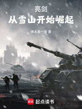 《亮剑：从雪山开始崛起》官方封面