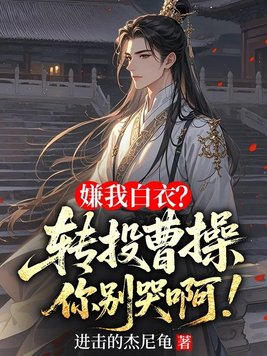 《嫌我白衣？转投曹操你别哭啊！》官方封面