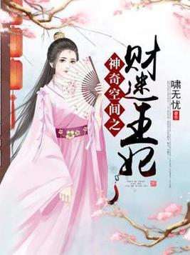 《神奇空间之财迷王妃》官方封面