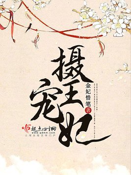 《摄宠王妃》官方封面