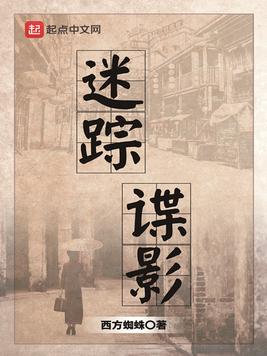 《迷踪谍影》官方封面