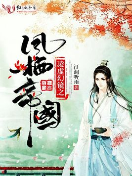 《凌虚幻镜之凤栖帝国》官方封面