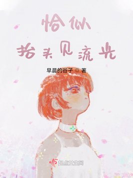 《恰似抬头见流光》官方封面