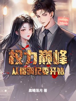 《权力巅峰从借调纪委开始》官方封面