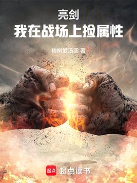 《亮剑：我在战场上捡属性》官方封面