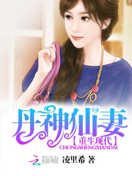《凤舞凰歌》官方封面