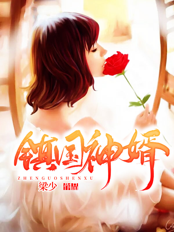 《镇国神婿》官方封面