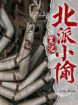《北派小偷笔记》官方封面