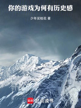 《你的游戏为何有历史感》官方封面