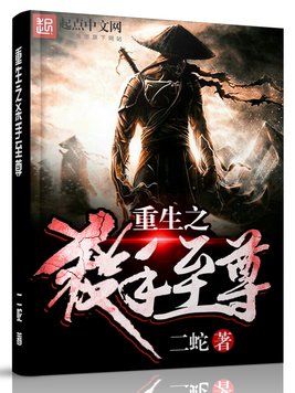 《重生之杀手至尊》官方封面