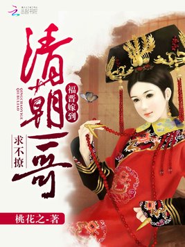 《福晋嫁到：清朝一哥求不撩》官方封面