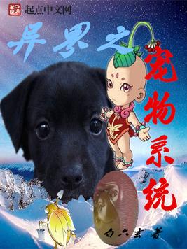 《异界之宠物系统》官方封面