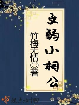 《文弱小相公》官方封面