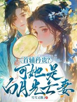 《首辅矜贵？可她是白月光亡妻》官方封面