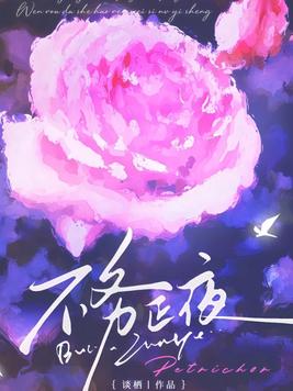 《不务正夜》官方封面