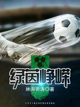 《绿茵峥嵘》官方封面