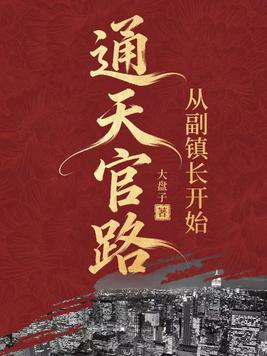 《通天官路：从副镇长开始》官方封面