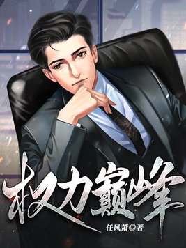 《官途：权力巅峰》官方封面