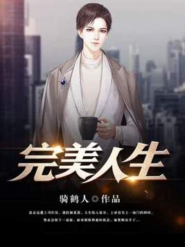 《完美人生》官方封面