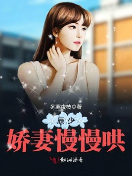 《辰少,娇妻慢慢哄》官方封面