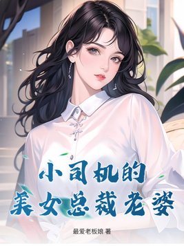 《小司机的美女总裁老婆》官方封面