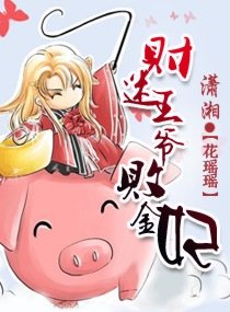 《财迷王爷败金妃》官方封面