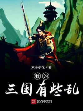 《我的三国有些乱》官方封面