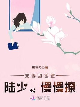 《宠妻甜蜜蜜：陆少,慢慢撩》官方封面