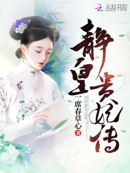 《静皇贵妃传》官方封面