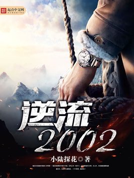 《逆流2002》官方封面