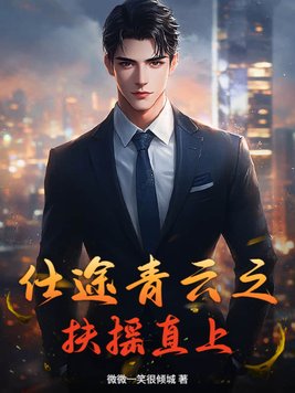 《仕途青云之扶摇直上》官方封面