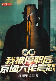 《官道：我被停职后，京圈大佬震怒》官方封面