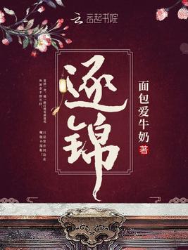 《逐锦》官方封面