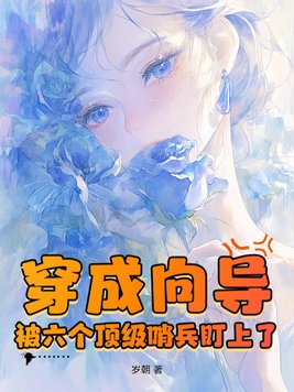 《穿成向导，被六个顶级哨兵盯上了》官方封面
