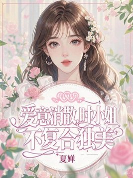 《爱意消散，时小姐不复合独美》官方封面