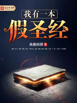 《我有一本假圣经》官方封面