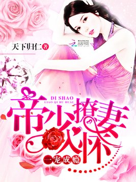 《一宠成瘾：帝少撩妻入怀》官方封面