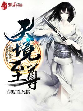 《天境至尊》官方封面