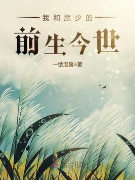 《我和顾少的前生今世》官方封面