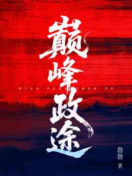 《巅峰政途》官方封面