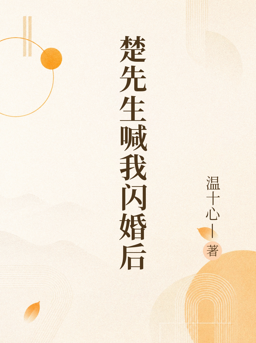 《楚先生喊我闪婚后》官方封面