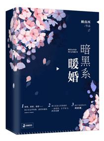 《暗黑系暖婚》官方封面