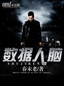 《数据人脑》官方封面